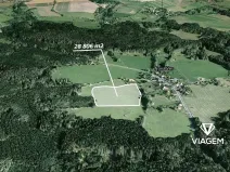 Prodej pole, Nasavrky, 28806 m2