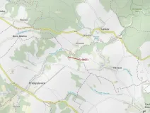 Dražba lesa, Přemyslovice, 1280 m2