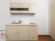 Pronájem bytu 1+1, Ostrava, Mariánskohorská, 37 m2