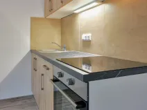 Pronájem bytu 1+kk, Plzeň, Rejskova, 50 m2