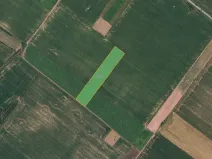 Prodej pole, Znojmo, 5390 m2