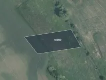 Prodej pole, Trstěnice, 4160 m2