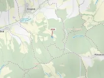 Dražba lesa, Slopné, 8536 m2