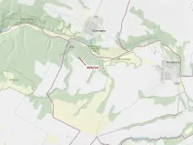 Dražba lesa, Ivančice, 741 m2