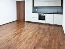 Pronájem bytu 2+kk, Praha - Dejvice, Lindleyova, 55 m2