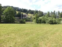 Dražba louky, Teplice nad Metují, 1315 m2