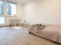 Pronájem bytu 1+1, Brno, Fričova, 46 m2