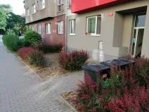 Pronájem bytu 1+kk, Praha - Vršovice, Karpatská, 38 m2