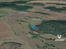 Prodej lesa, Nečín, 2595 m2
