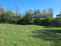 Prodej zahrady, Letovice, 2136 m2
