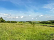 Prodej pozemku pro bydlení, Oleška, 804 m2