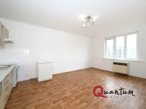 Pronájem bytu 1+kk, Praha - Vinohrady, Fričova, 31 m2