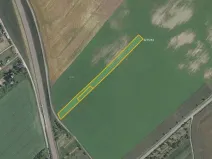 Prodej pole, Kuchařovice, 6602 m2