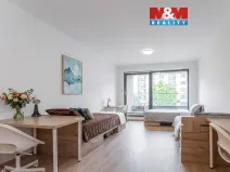 Prodej bytu 1+kk, Praha - Žižkov, Tetauerova, 33 m2
