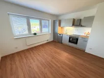 Pronájem bytu 2+kk, Brno - Ivanovice, Černohorská, 48 m2