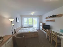 Pronájem bytu 1+kk, Olomouc, Tovární, 31 m2