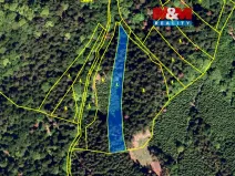 Prodej lesa, Rusava, 26218 m2