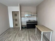 Prodej bytu 1+kk, Ostrava - Zábřeh, Petruškova, 28 m2