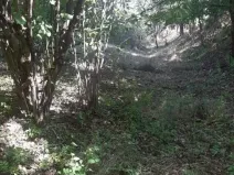 Prodej pozemku, Prostiboř, 2424 m2