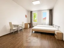 Pronájem bytu 1+kk, Brno, Bratislavská, 35 m2