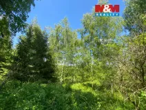 Prodej lesa, Kropáčova Vrutice - Sušno, 15167 m2