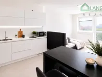 Pronájem bytu 1+kk, Brno, Rybářská, 31 m2