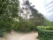 Prodej lesa, Vráž, 3233 m2