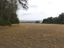 Dražba zahrady, Heřmanova Huť, 1100 m2