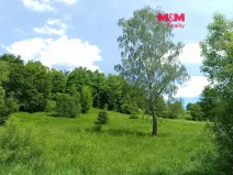 Prodej pozemku pro bydlení, Božanov, 3276 m2