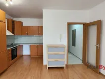 Pronájem bytu 1+kk, Liberec, Hanychovská, 47 m2