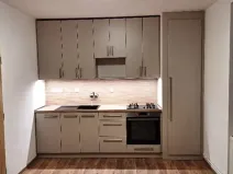 Pronájem bytu 1+1, Nový Jičín, Riegrova, 38 m2