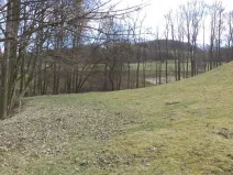 Prodej pole, Heřmanov - Fojtovice, 4633 m2