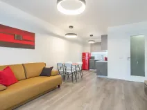Pronájem bytu 2+kk, Praha - Karlín, Nekvasilova, 67 m2