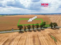 Prodej pozemku, Martiněves - Radešín, 4838 m2