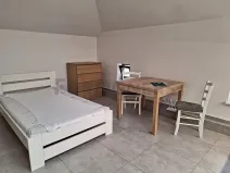 Pronájem bytu 1+kk, Olomouc, Ztracená, 20 m2