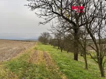 Prodej zahrady, Bezuchov, 901 m2