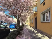 Prodej bytu 2+1, Turnov, Nádražní, 56 m2