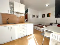 Pronájem bytu 1+kk, Brno, Eleonory Voračické, 25 m2