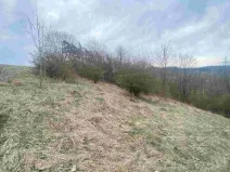Prodej pozemku, Mírová pod Kozákovem - Vesec, 1000 m2