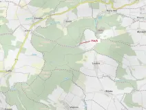 Dražba lesa, Loučka, 294 m2