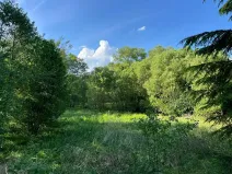 Prodej louky, Oselce, 9182 m2