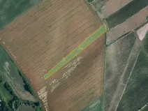 Prodej pole, Nový Poddvorov, 10177 m2