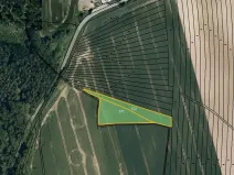 Prodej pole, Vřesovice, 4471 m2