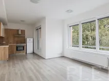 Pronájem bytu 1+kk, Praha - Vršovice, Petrohradská, 37 m2