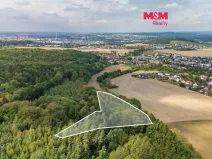 Prodej lesa, Plzeň - Červený Hrádek, 6522 m2