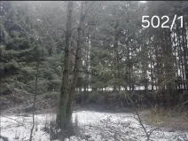 Prodej lesa, Hojovice, 985 m2