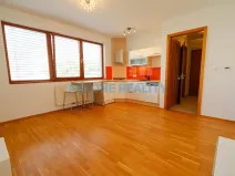 Pronájem bytu 1+kk, Praha - Břevnov, Brunclíkova, 30 m2