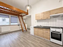 Pronájem bytu 1+kk, Liberec, Rumjancevova, 25 m2