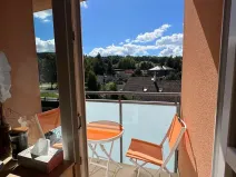 Prodej bytu 1+1, Karlovy Vary, Spálená, 50 m2