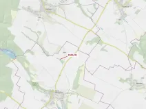 Dražba lesa, Horní Dunajovice, 263 m2